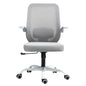 Silla de Oficina Giratoria Regulable en Altura y Lumbar Apta para Oficinas y Salas de Estudio, Gris